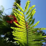 Paradise Gardens Paphos