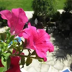 Paradise Gardens * Paphos