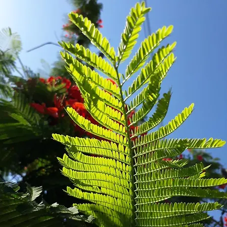 Paradise Gardens Paphos
